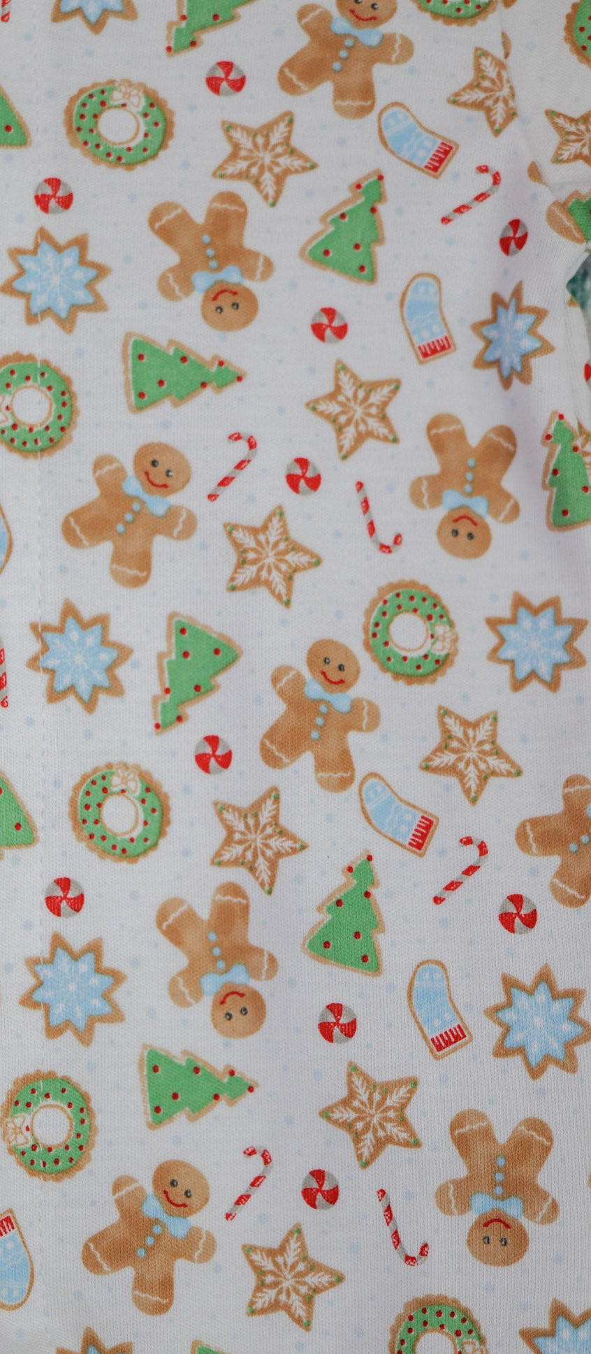 Frosted Wonderland Long Pajamas - Light Blue